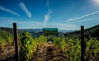 Quinta do Pessegueiro Rouge 2019 parmi le TOP 100 CELLAR SELECTION selon Wine Enthusiast